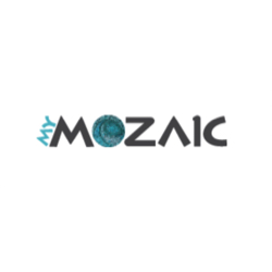 MyMozaic